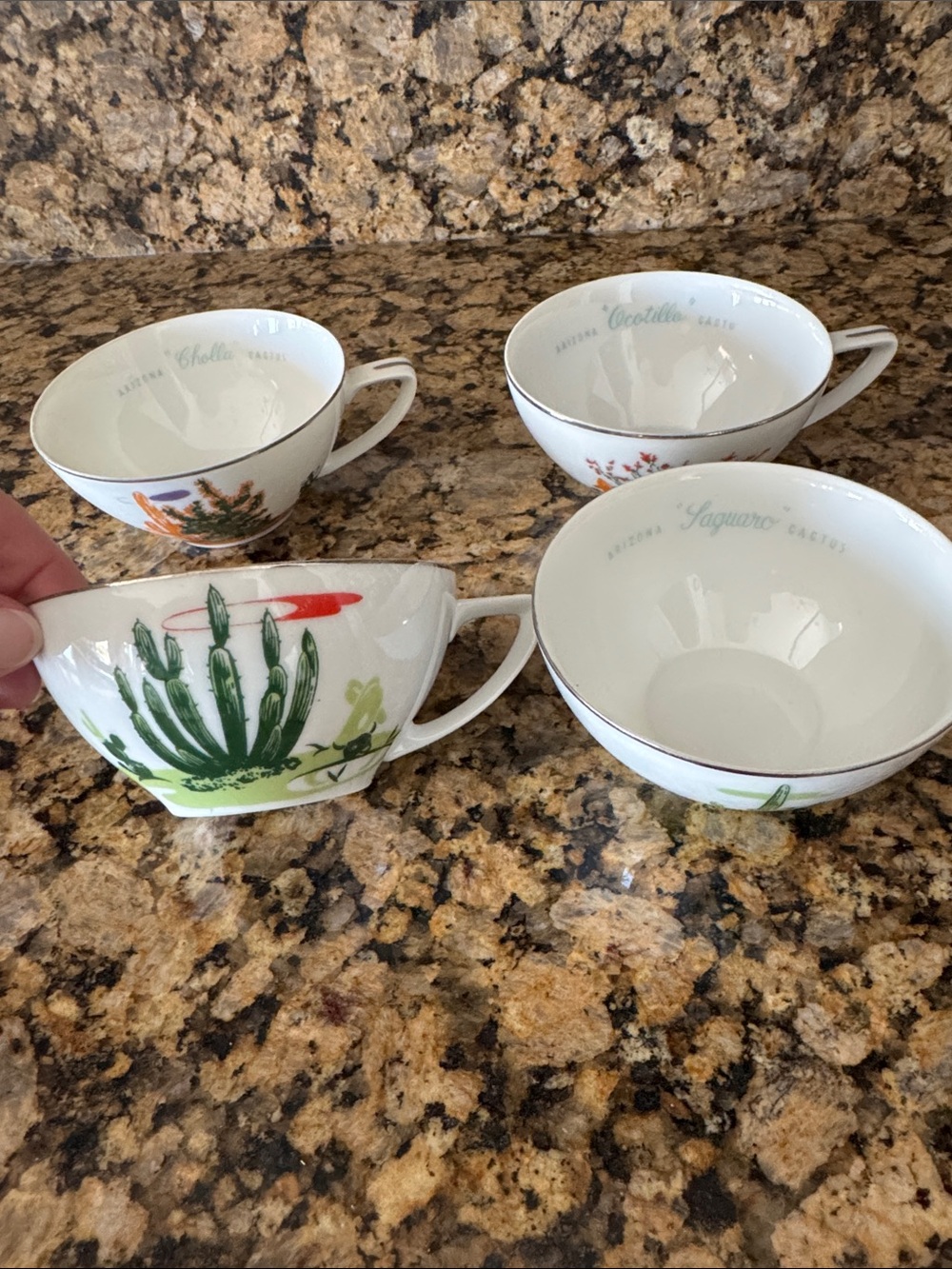 Blakely Vintage Desert Botanical Dessert Cups - Highly Collectible